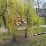 Brzostek