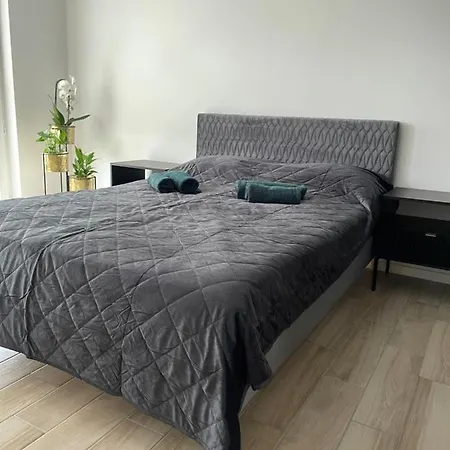 Brzostek Apartmán *