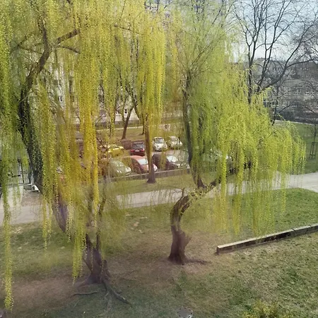 Brzostek 1